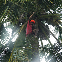 Photo de Bali - Ubud